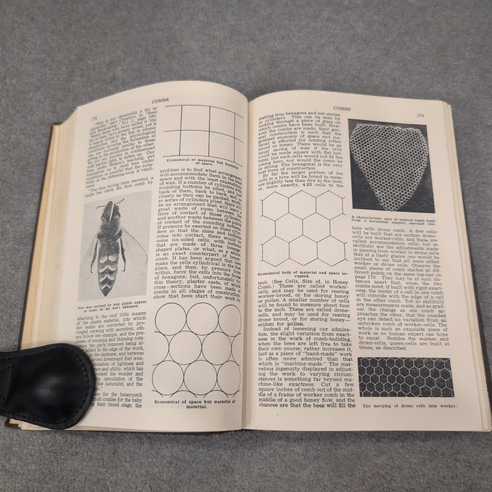 ABC and XYZ of Bee Culture A.I. Root 1947 Edition Hardcover Beekeeping Book - Picture 9 of 10